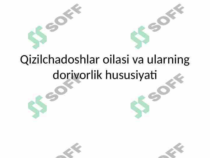 2-Qizilchadoshlar oilasi va ularning dorivorlik hususiyati