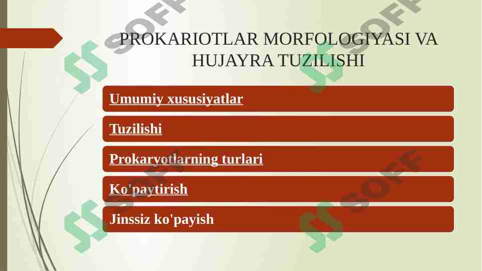 PROKARIOTLAR MORFOLOGIYASI VA HUJAYRA TUZILISHI