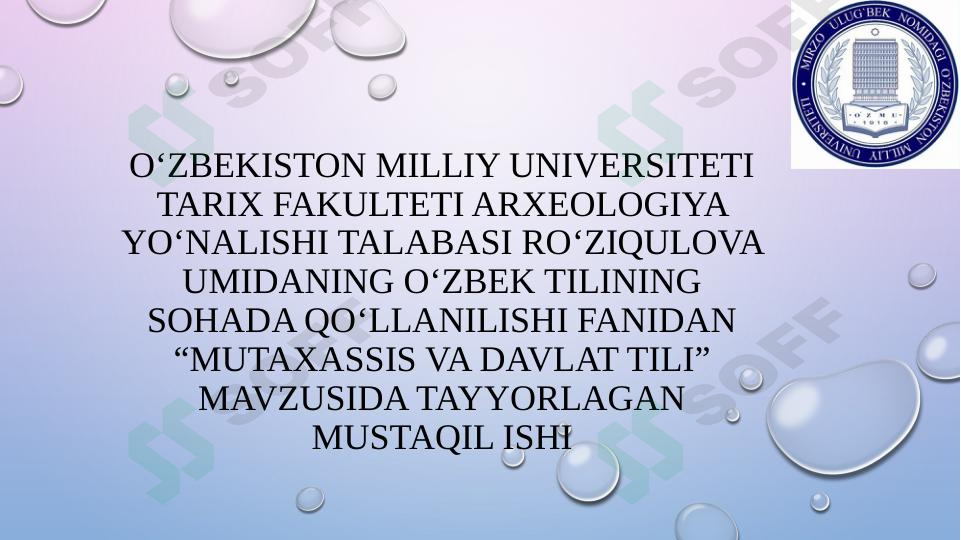 Mutaxassis va davlat tili