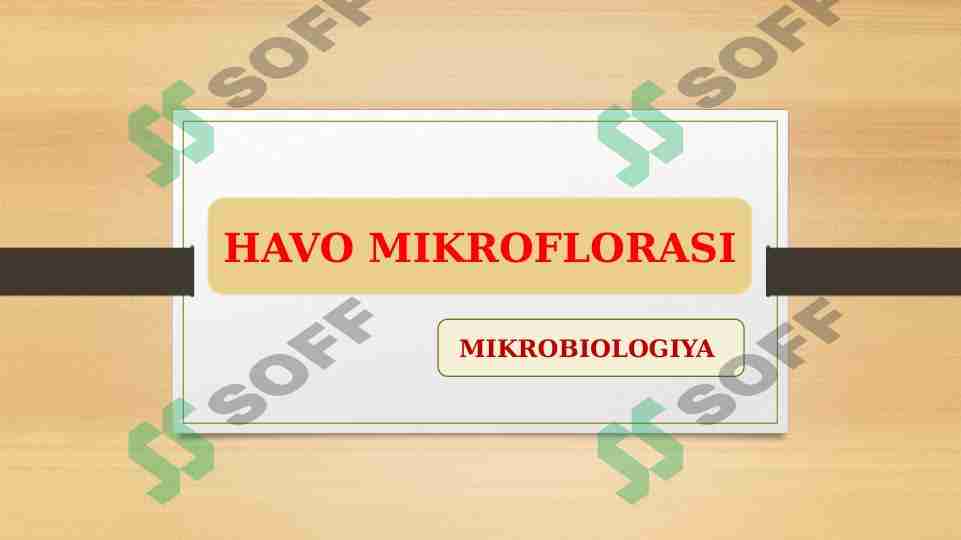 HAVO MIKROFLORASi