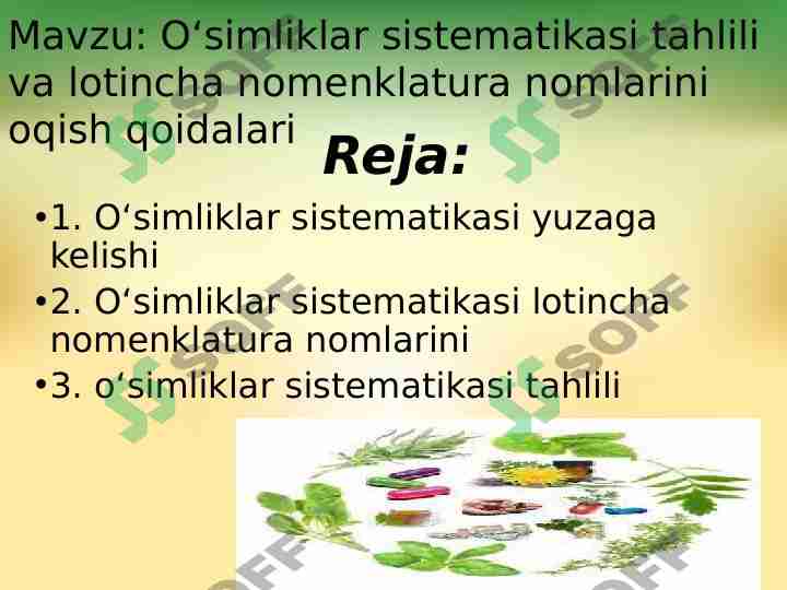 2-Oʻsimliklar sistematikasi tahlili va lotincha nomenklatura nomlarini oqish qoidalari
