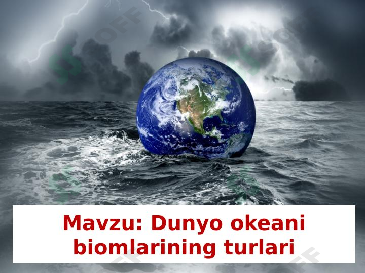 dunyo okeani biomlarining turlari