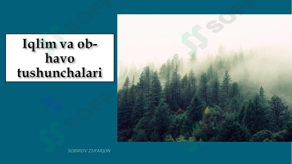 sellerImage