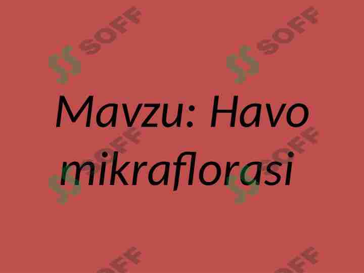 Havo mikraflorasi