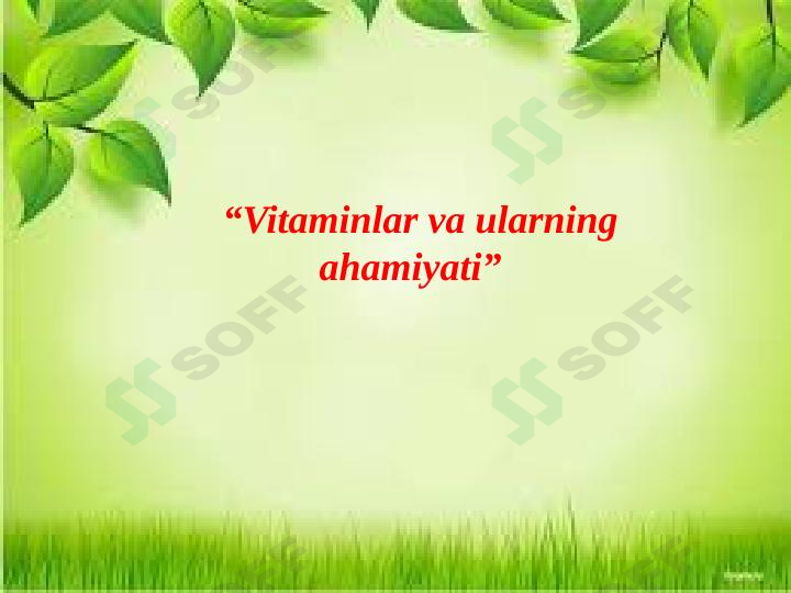 Vitaminlar va ularning ahamiyati