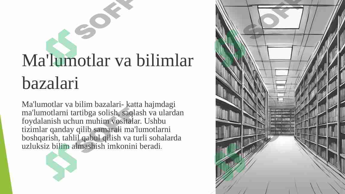 Ma'lumotlar va bilimlar bazalari