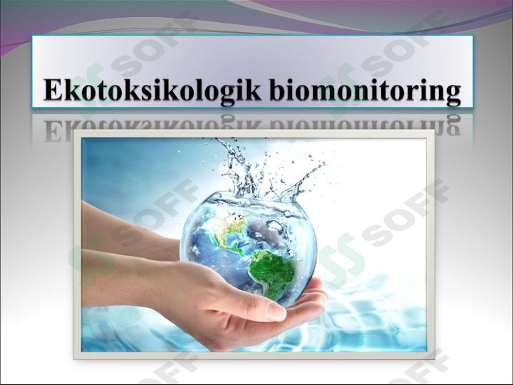 Ekotoksiologik  biomonitoring
