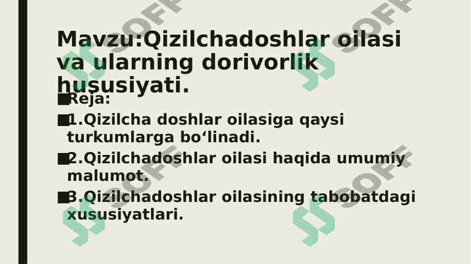 Qizilchadoshlar oilasi va ularning dorivorlik hususiyati