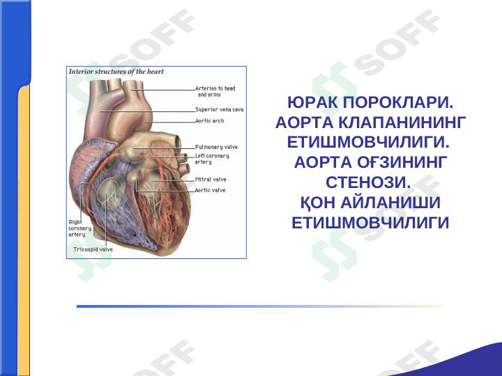 YURAK PAROKLARI.AORTA KLAPANINI YETISHMOVCHILIGI