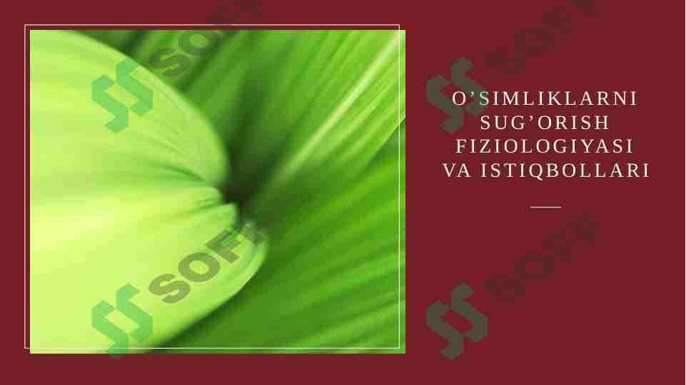 sellerImage
