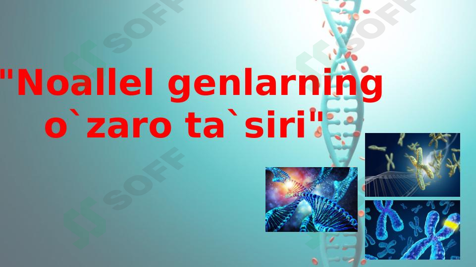Noallel genlarning o`zaro ta’siri