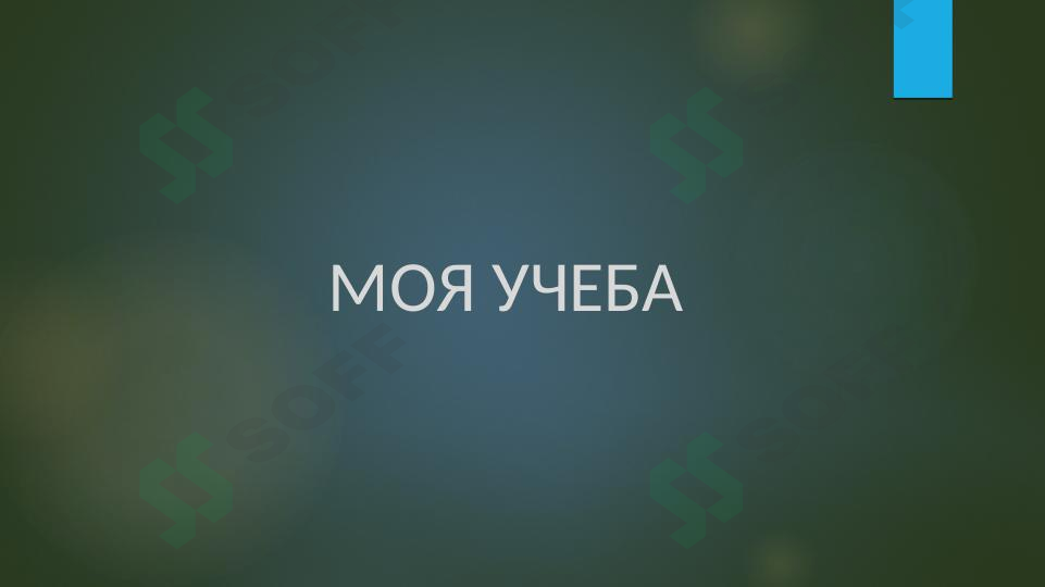 Моя учеба