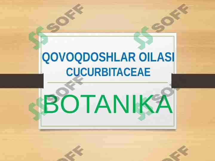 QOVOQDOSHLAR OILASI CUCURBITACEAE
