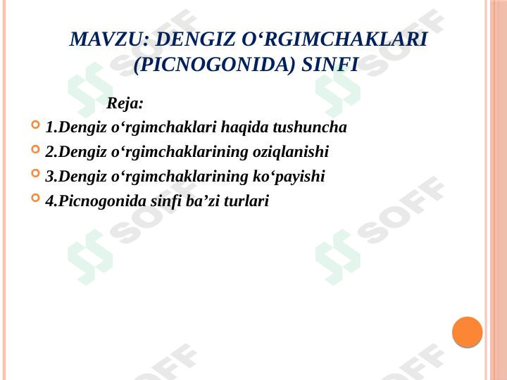 dengiz o'rgimchaklari
