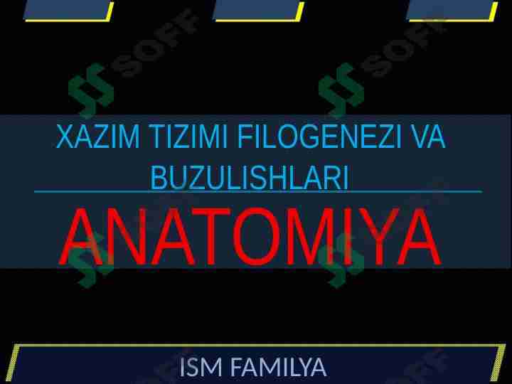 XAZIM TIZIMI FILOGENEZI VA BUZULISHLARI