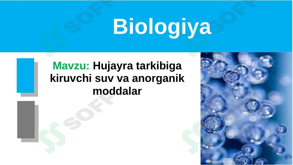 Hujayra tarkibiga kiruvchi suv va anorganik moddalar