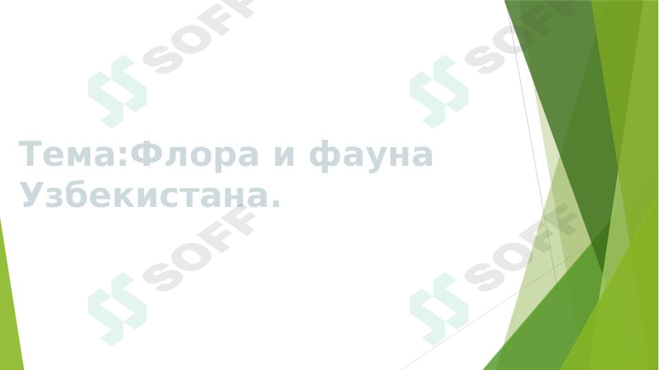 Флора и фауна Узбекистана
