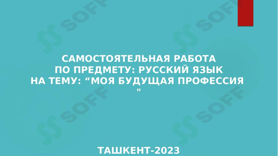 Моя будущая профессия