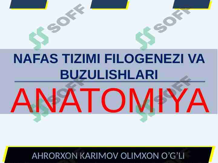 NAFAS TIZIMI FILOGENEZI VA BUZULISHLARI