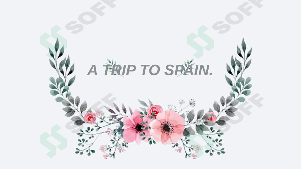 sellerImage