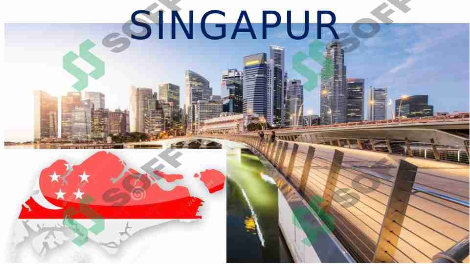 singapur davlatida ijtimoiy ish