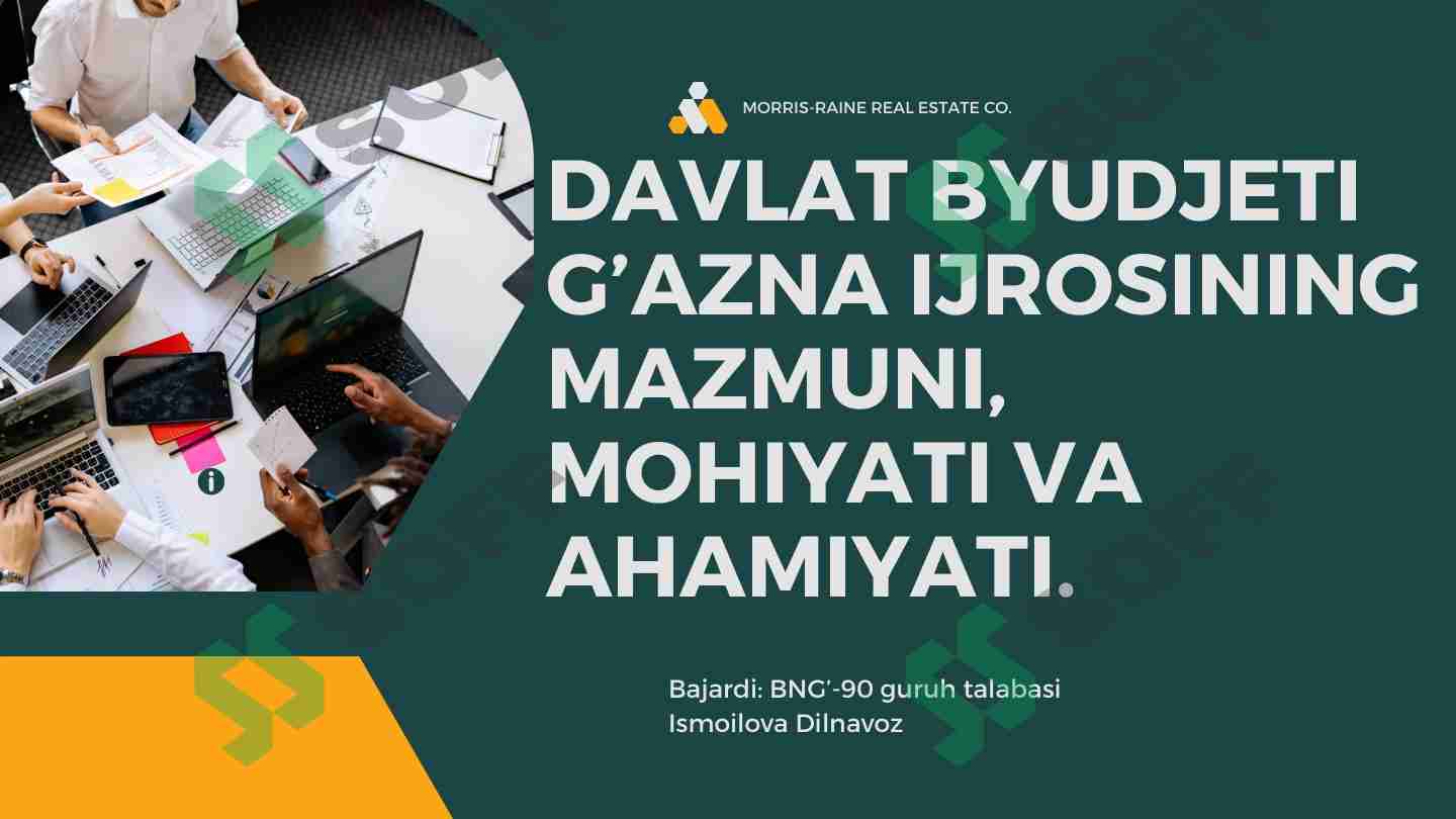 davlat byudjeti g'azna ijrosining mazmuni va mohiyati