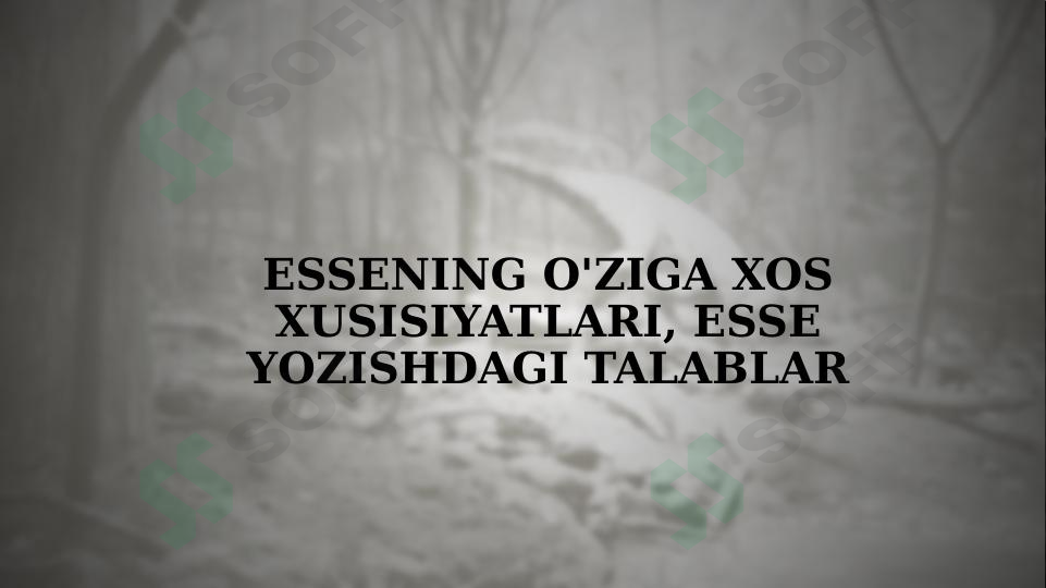 Essening o'ziga xos xusisiyatlari, Esse yozishdagi talablar
