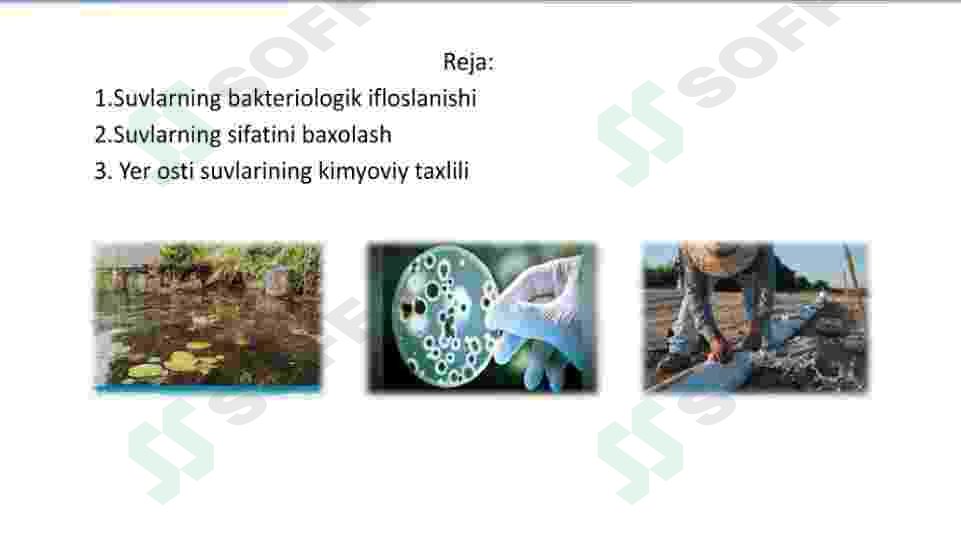 sellerImage