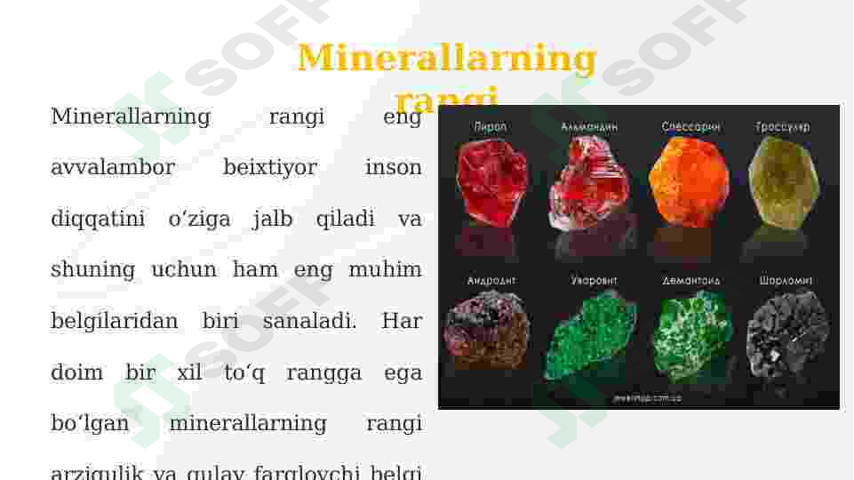 sellerImage