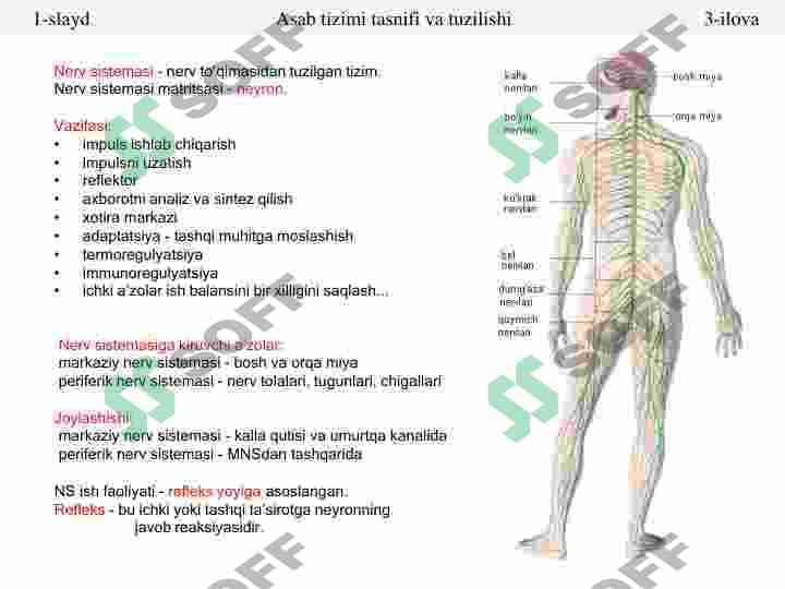 sellerImage