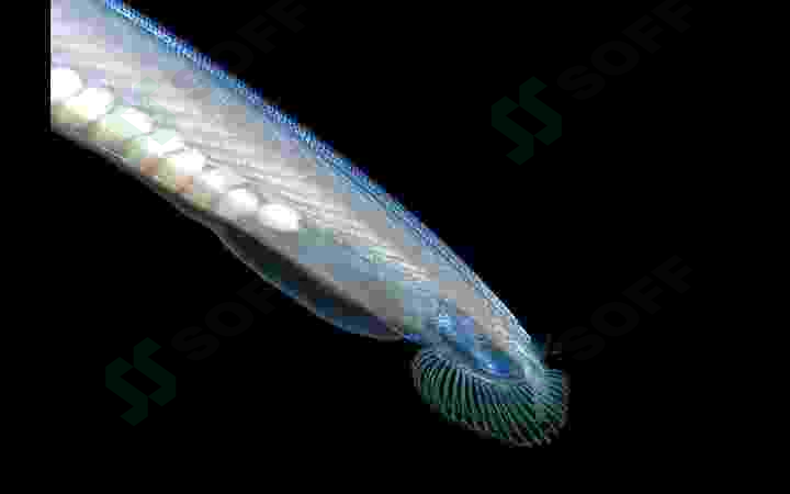 sellerImage