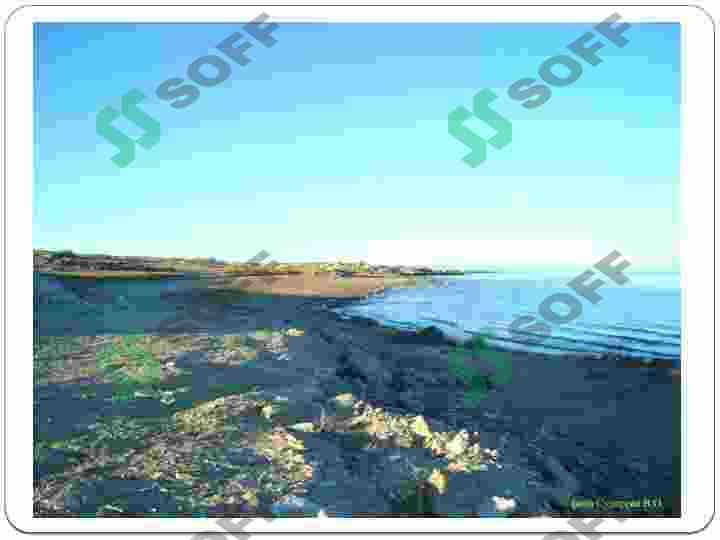 sellerImage