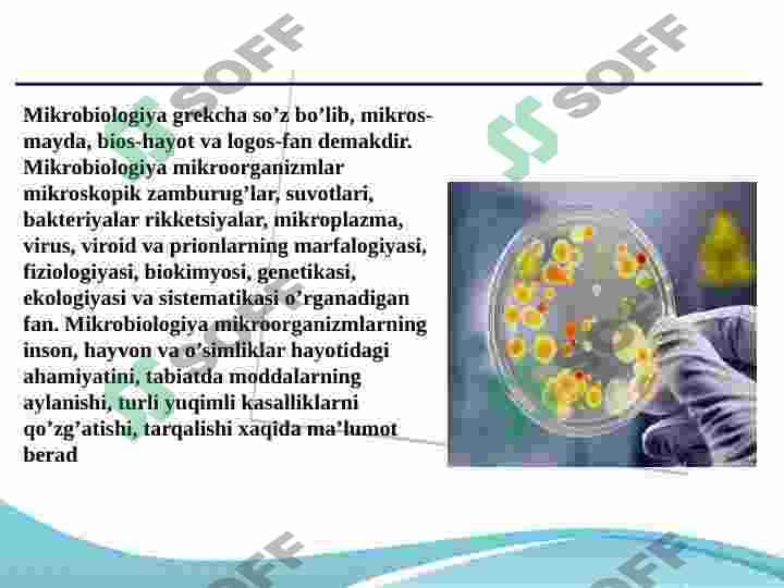 sellerImage