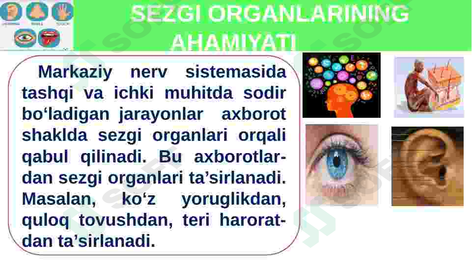 sellerImage
