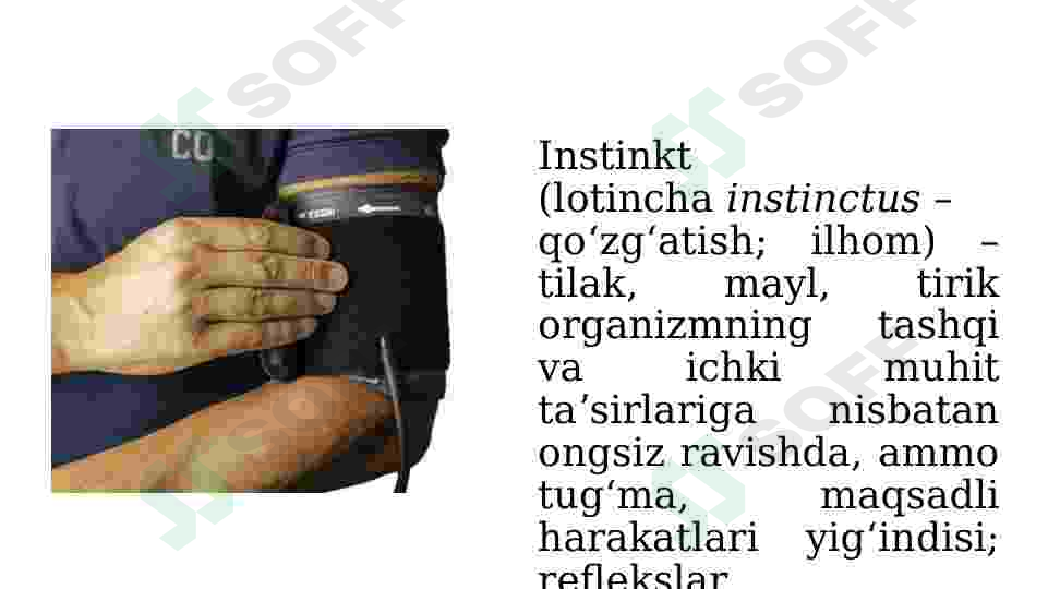 sellerImage