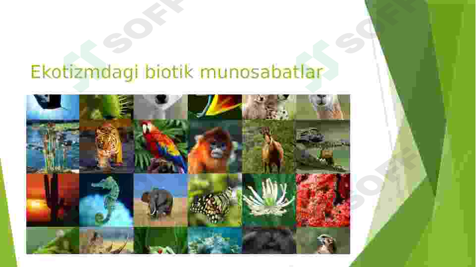 sellerImage
