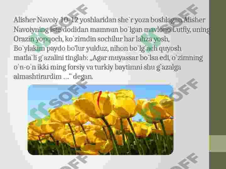 sellerImage