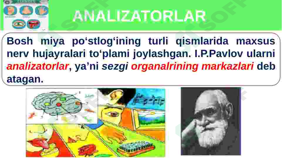 sellerImage