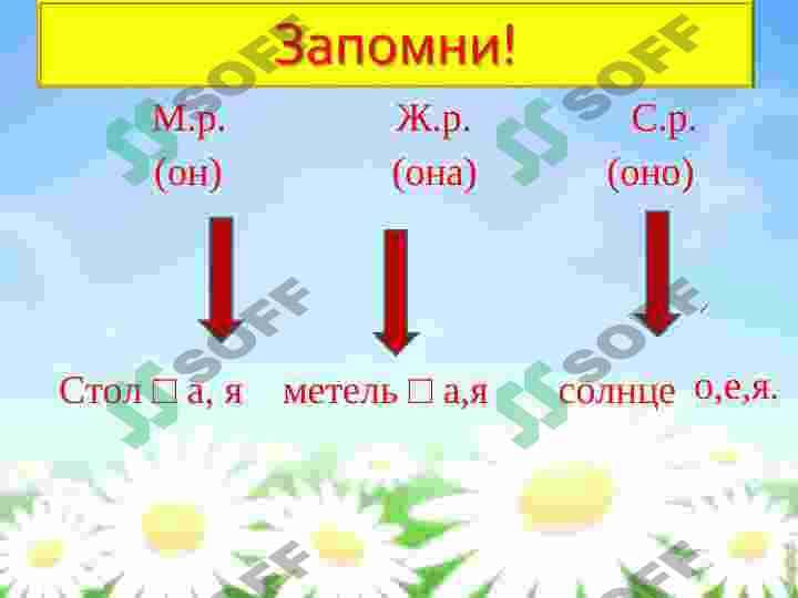 sellerImage