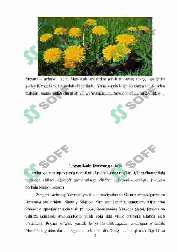 sellerImage