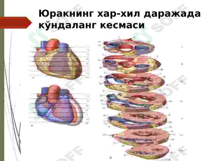 sellerImage