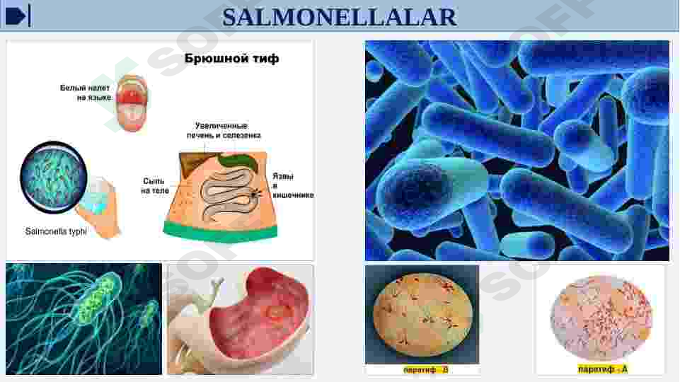 sellerImage