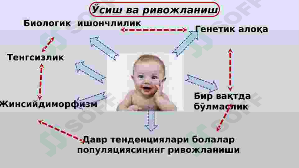 sellerImage