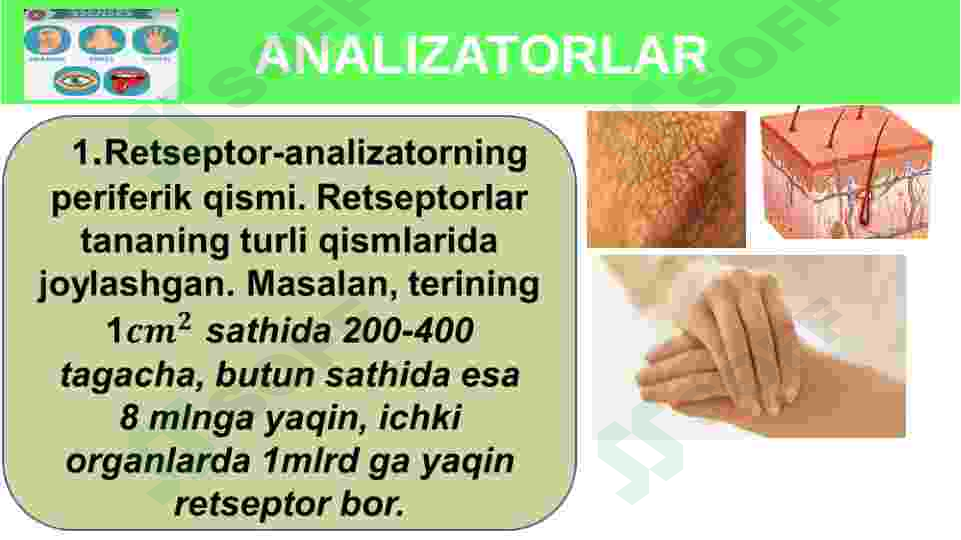 sellerImage