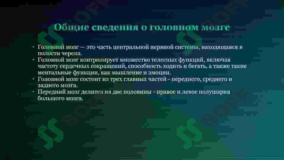 sellerImage
