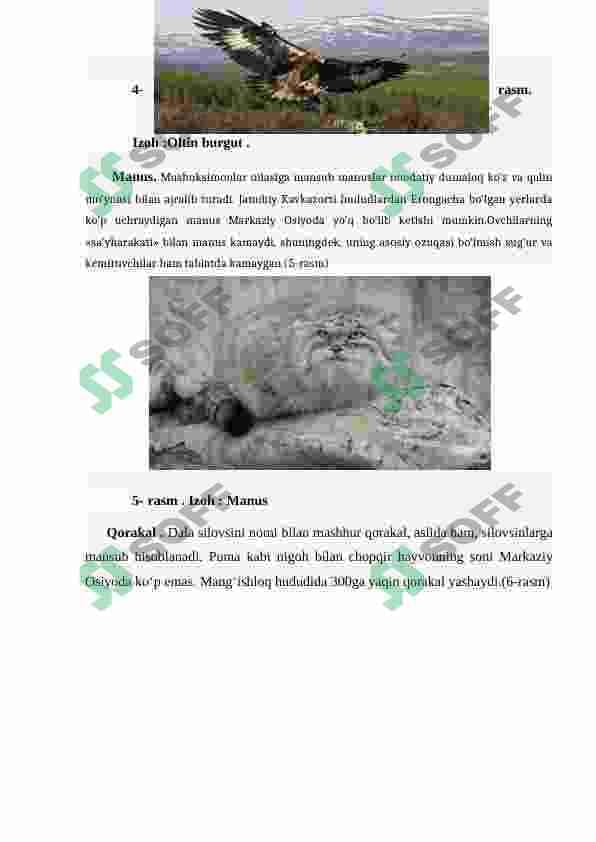 sellerImage