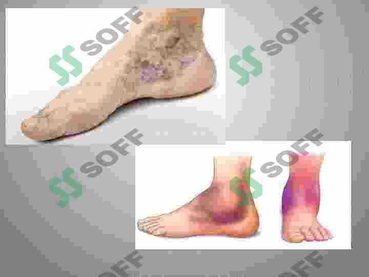 sellerImage