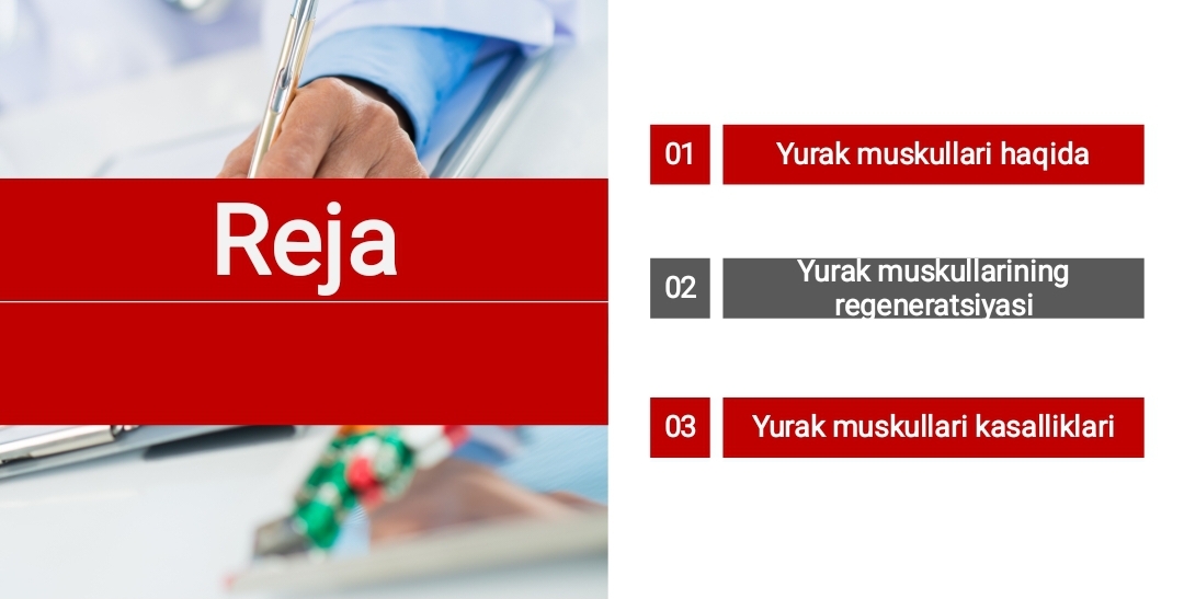 Yurak muskullari regeneratsiyasi