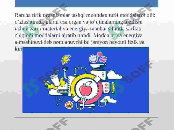 sellerImage