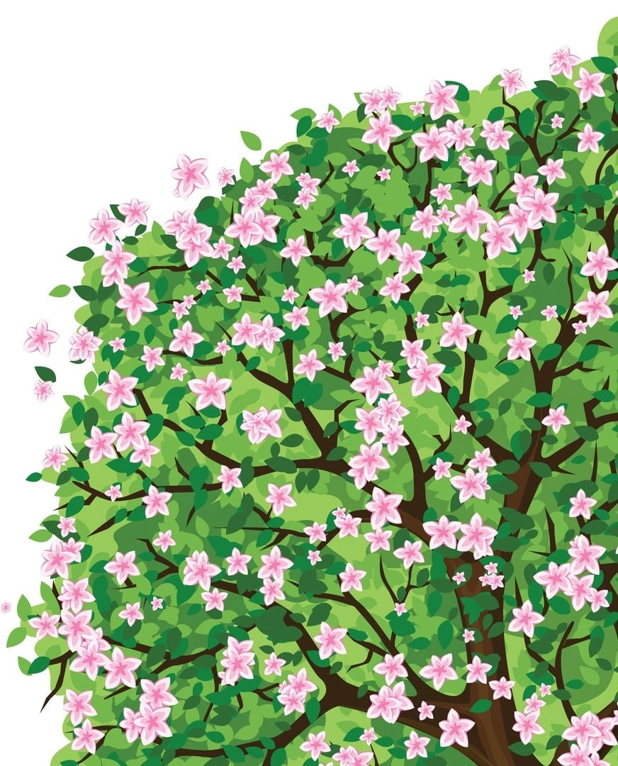 Bahorgi daraxt rasmi